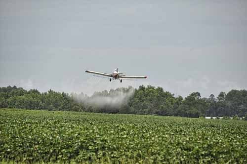 An airplane sprays pesticides on a field